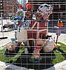 Foto de la falla Virgen de la Cabeza - José Maria Mortes Lerma 2025