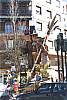 Foto de la falla Fray J. Rodriguez - Pintor Cortina 2001
