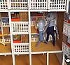 Foto de la falla Santa Maria Micaela - Martin El Humano 2026