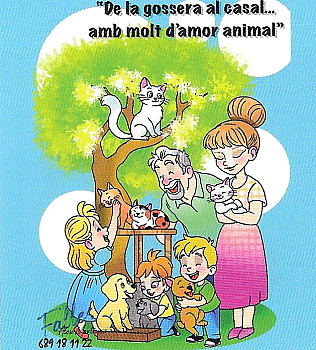 Foto De la Gossera en El Casal... en Molt D´Amor Animal