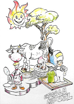 Foto Escola Natural